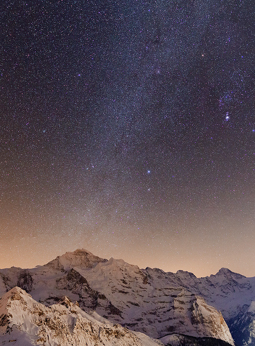  지친 당신을 위로 해주는 사진 | 인스티즈