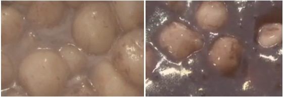팥죽이야기 이미지