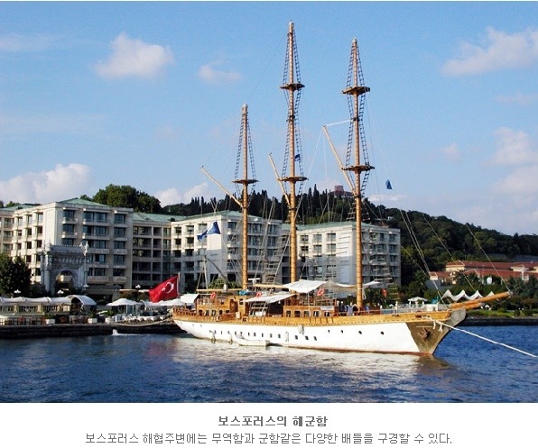상상진화 이미지