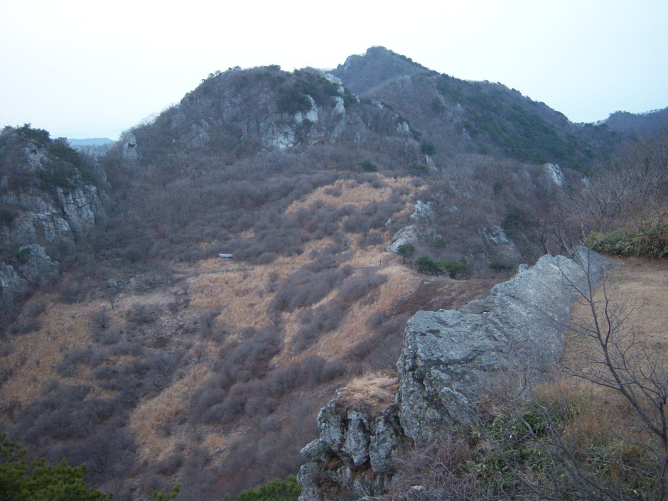 화순라이프 이미지