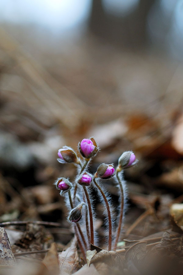 바람섬 이미지