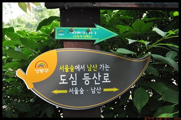 소버티 이미지