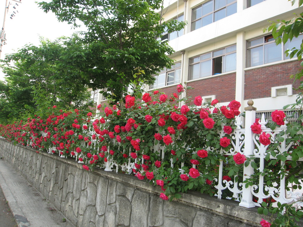 1576D2174A1205051833BF