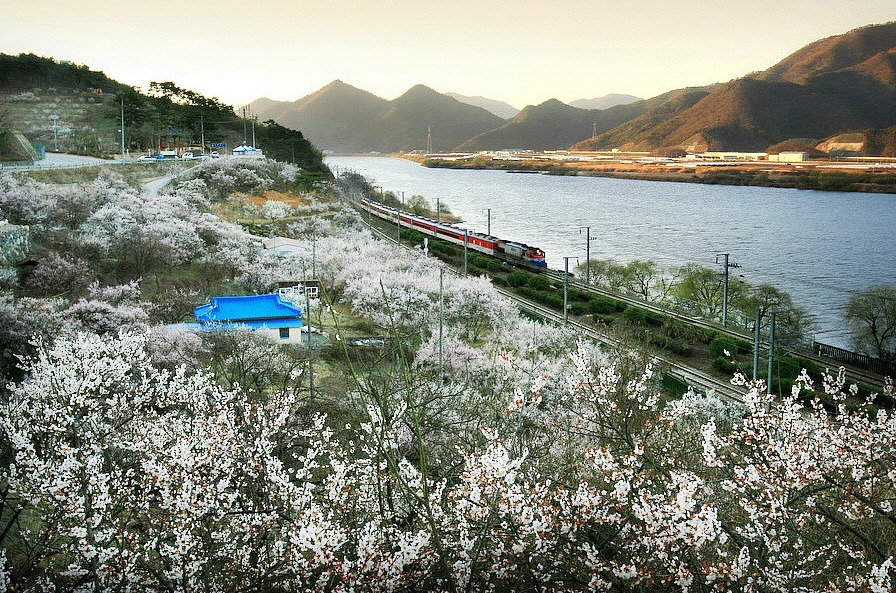 삼월 이미지