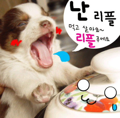 수호패밀리 이미지
