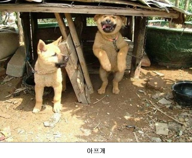 깔깔깔 이미지