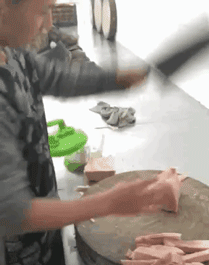 중국산 칼로 고기 썰기.gif | 인스티즈