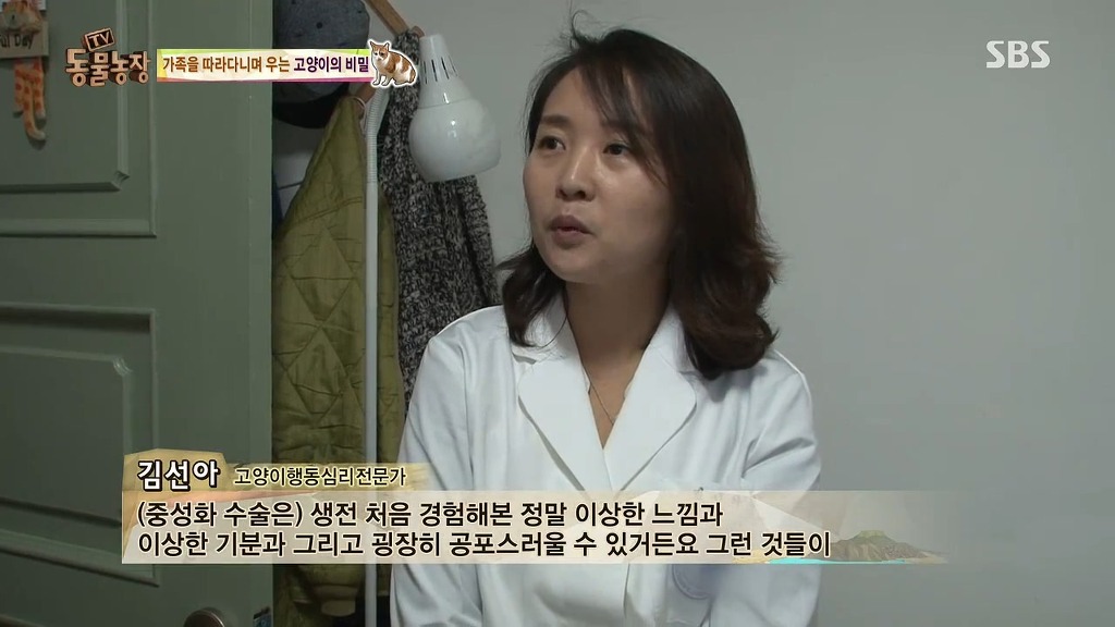 [동물농장] 존트 할말 다 하고 사는 수다쟁이 고양이 쪼롱이ㅋㅋㅋㅋ.jpg | 인스티즈