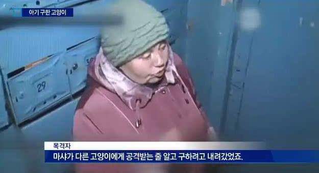 사람보다 나은 애기를 품은 고양이 | 인스티즈