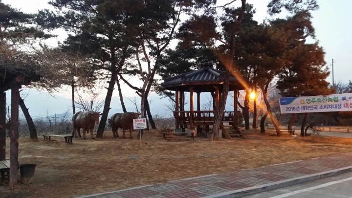 영주축산업협동조합 이미지