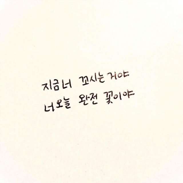 디아이피 이미지