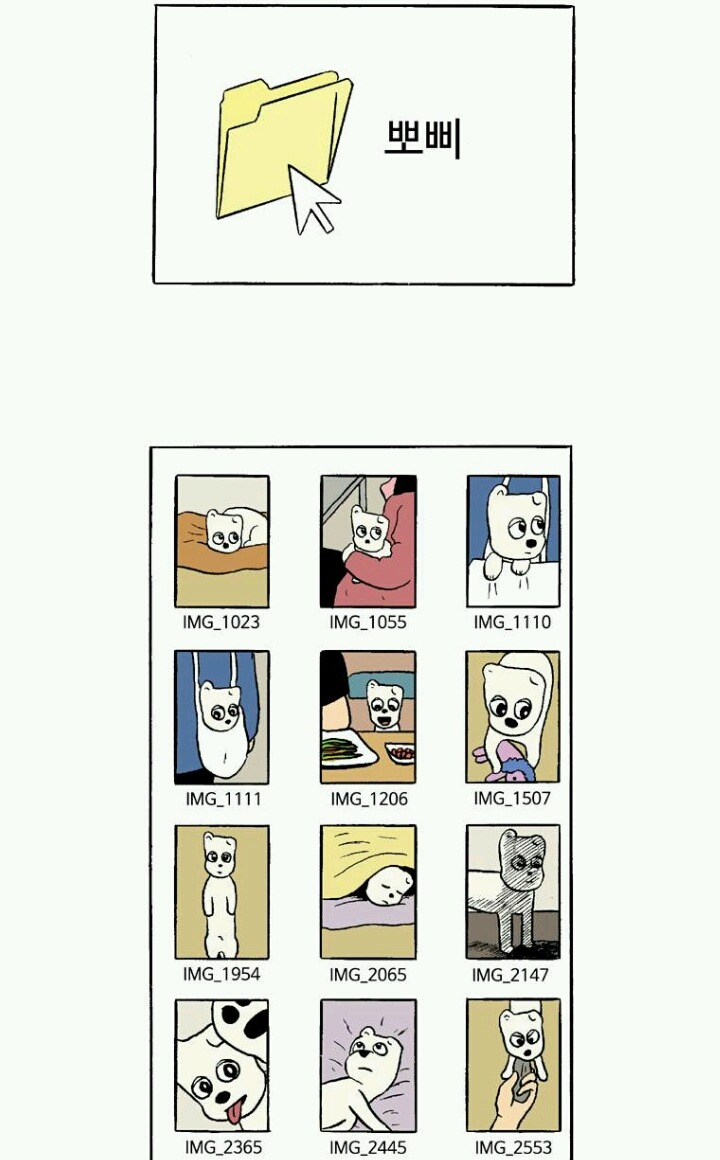 반려견을 무지개 다리로 보냈던 사람들이 공감하는 것 | 인스티즈