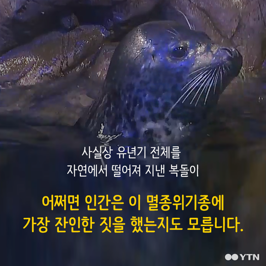 멸종 위기종을 수족관에 전시하는 이상한 나라 | 인스티즈