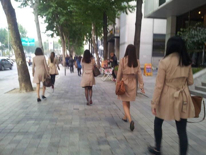 클론 왕국 대한민국.jpg | 인스티즈