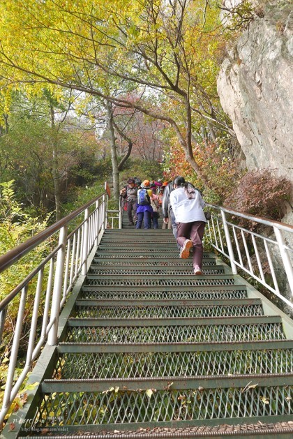 서호 이미지
