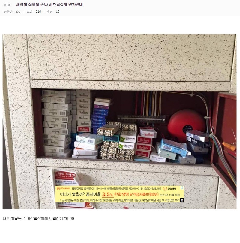디씨인과 40인들의 일진.jpg | 인스티즈