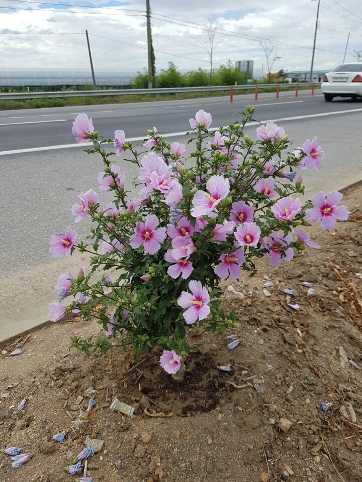 삼일주유소 이미지
