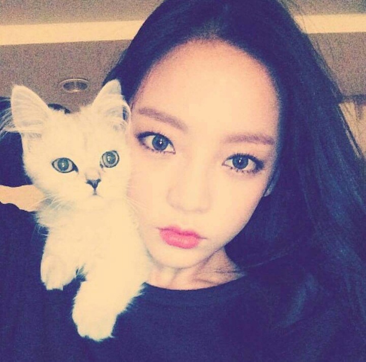 고양이상 구하라 | 인스티즈