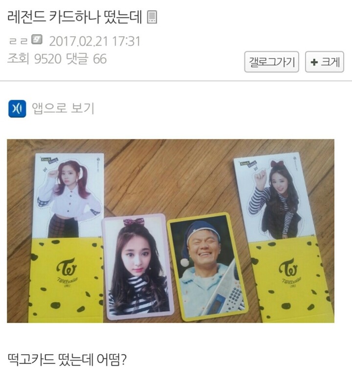 트와이스 앨범 카드 뽑기 레전드.dcinside | 인스티즈