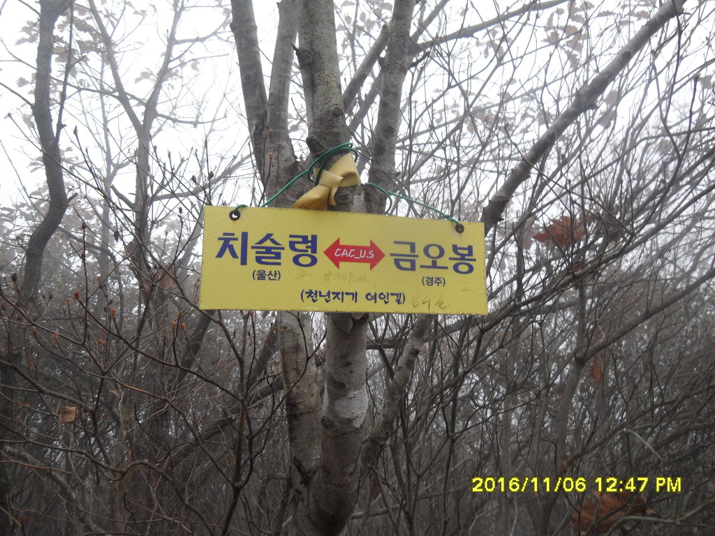 관문성 이미지