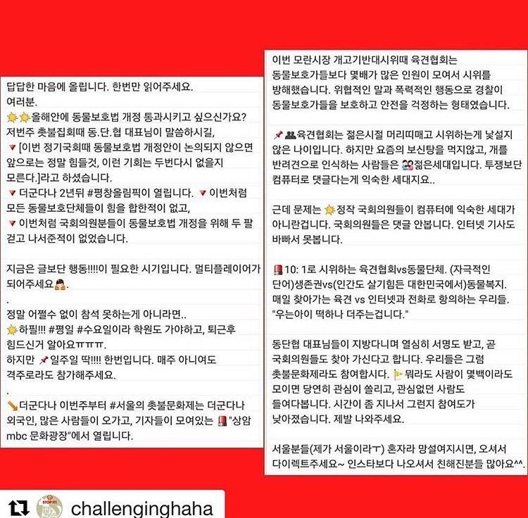 매주 수요일 서울 대구부산천안!!!! 동물보호법안 통과를 위한 촛불집회... 인원이 너무 적어... | 인스티즈