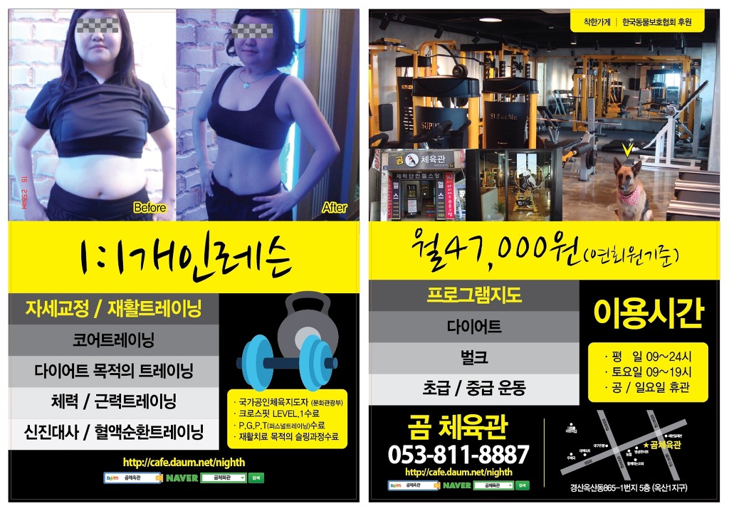 곰체육관 이미지
