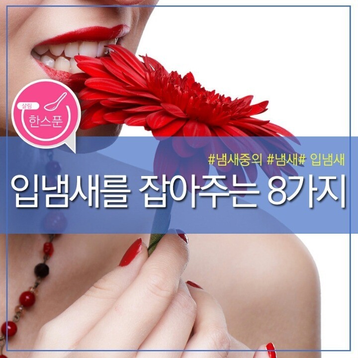 입냄새를 잡아주는 8가지 | 인스티즈