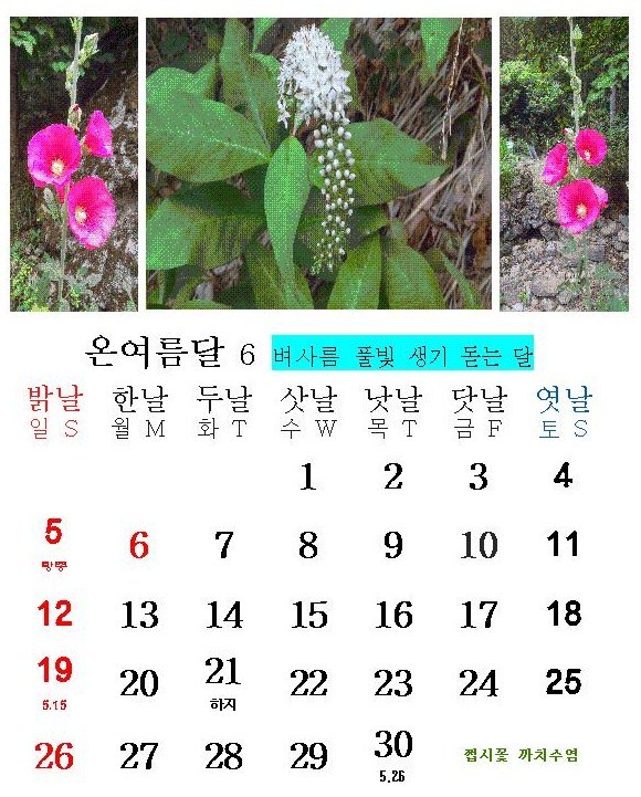 온여름달 이미지