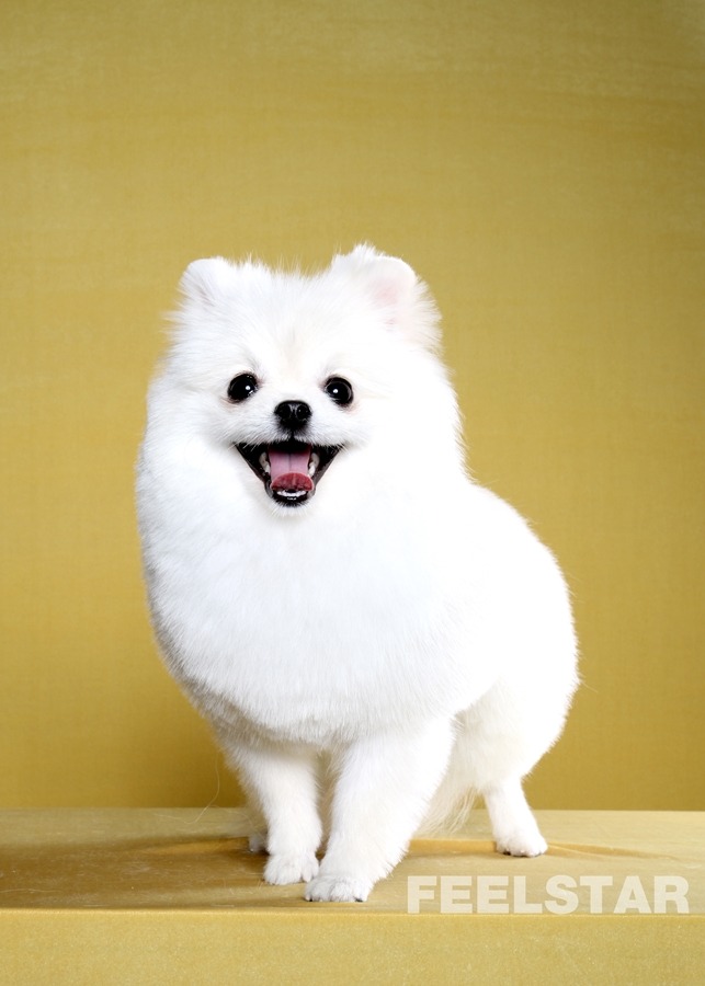 벼리 이미지