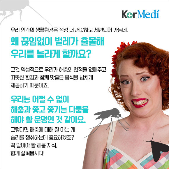 해충에 대한 오해와 진실(feat.바퀴)_약혐주의 | 인스티즈
