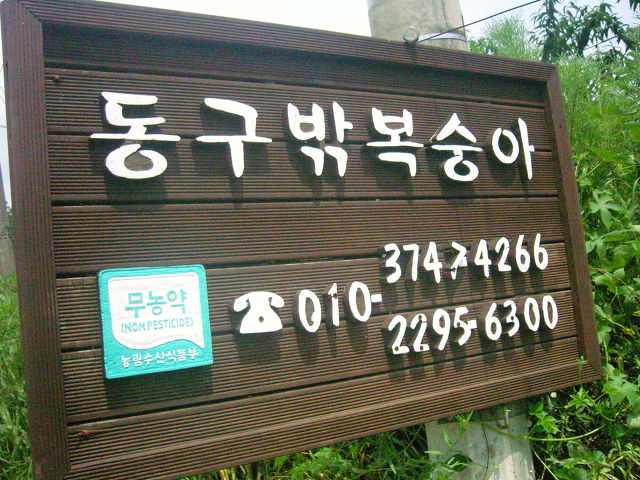 동구밖과수원 이미지
