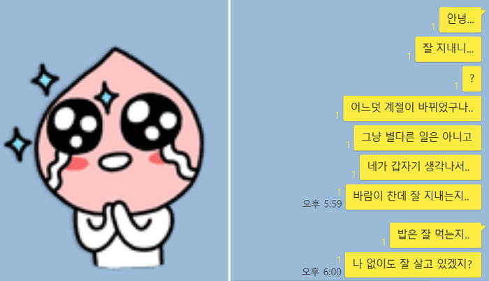 카톡에 '꼭 생겼으면 좋겠다' 싶은 기능 7가지 | 인스티즈