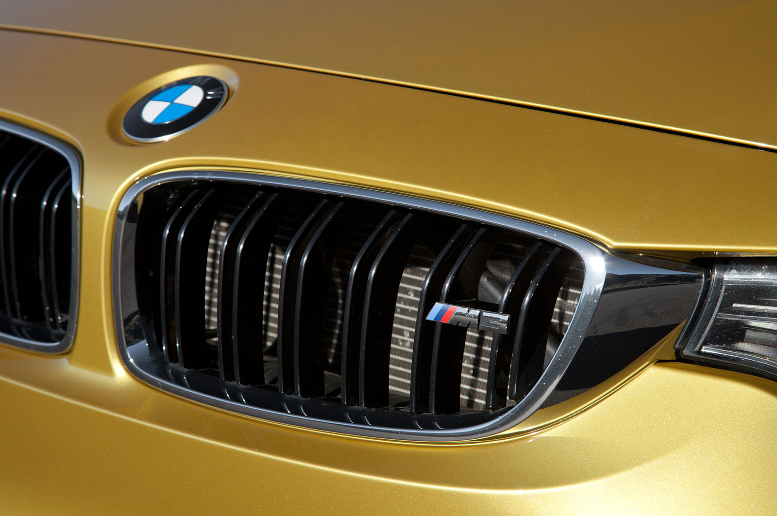 BMW M3 | 인스티즈