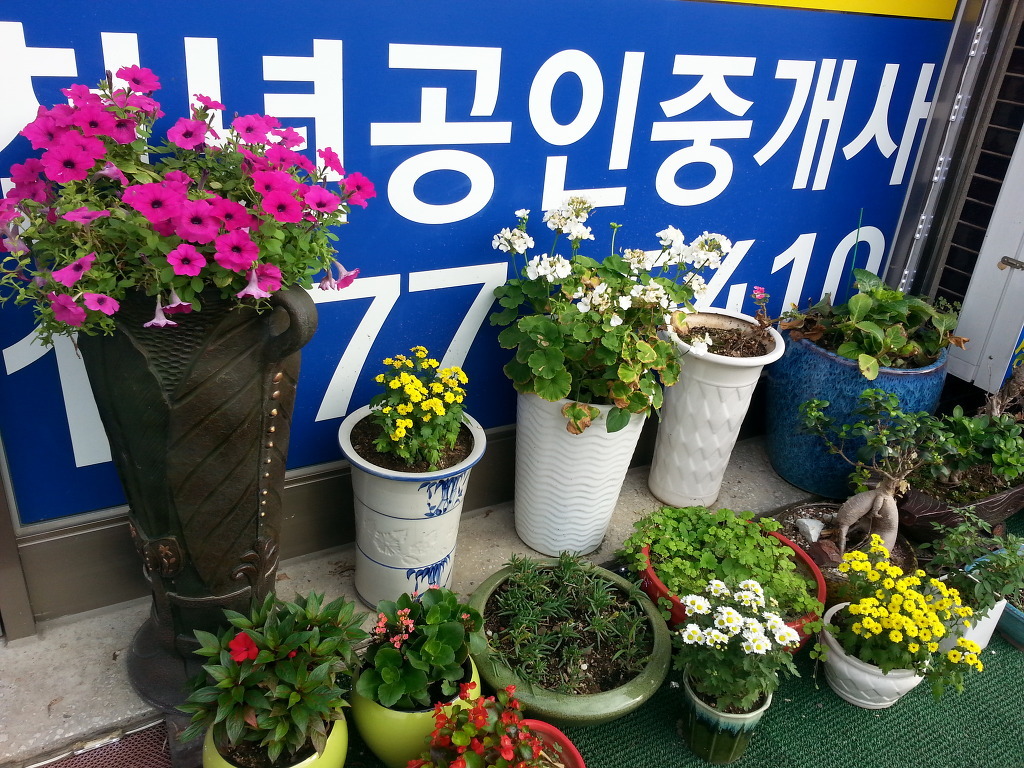 중앙여인숙 이미지