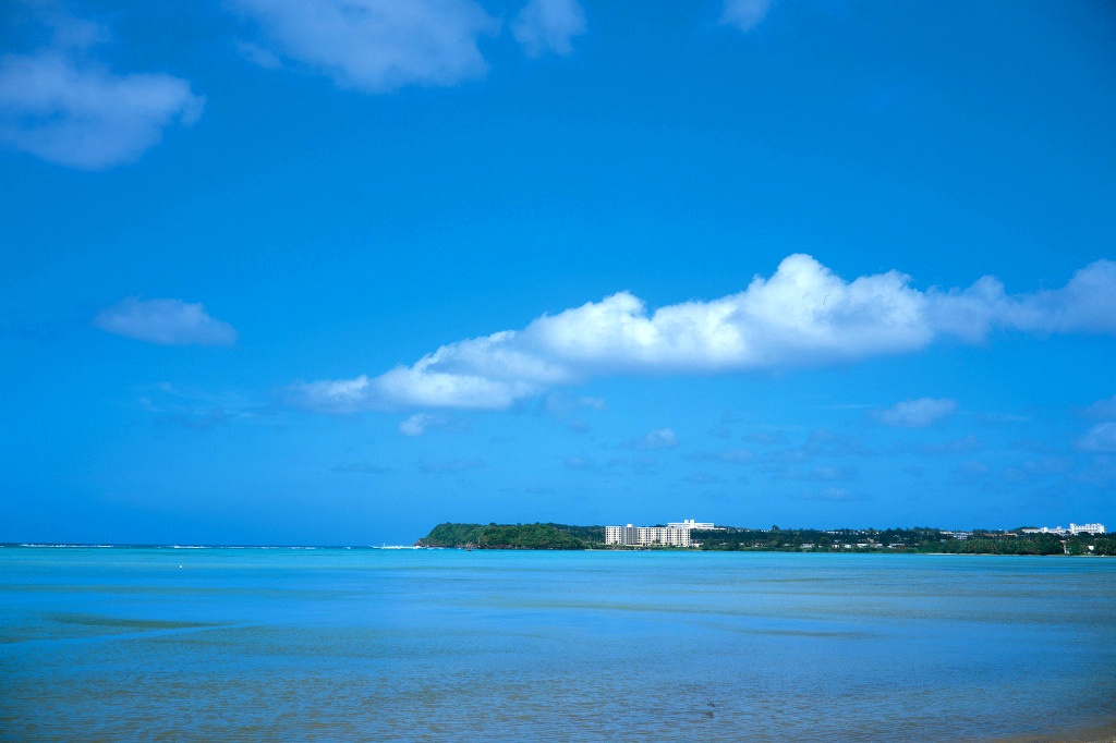 216EB1445496BA61108595