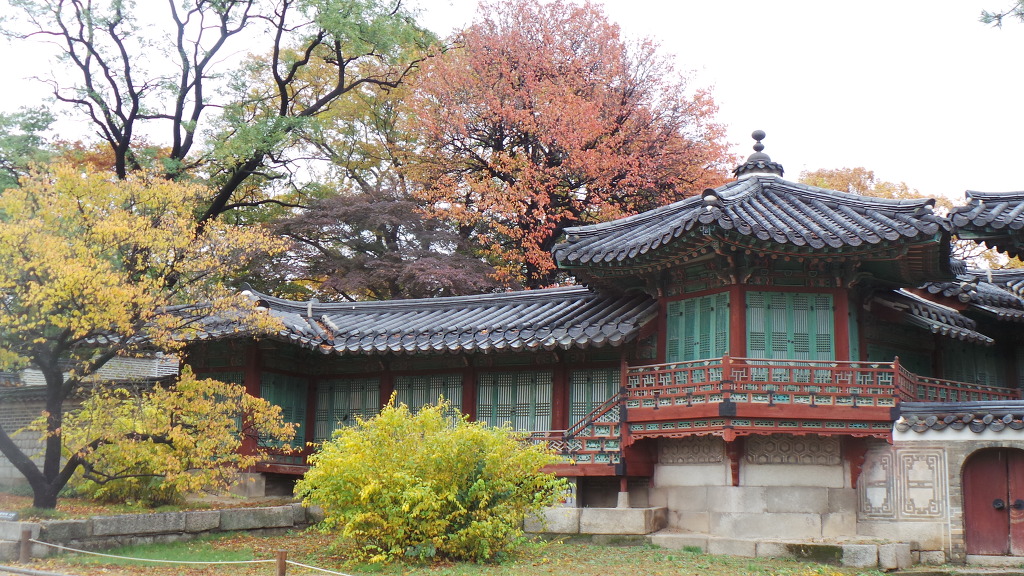 비-원 이미지