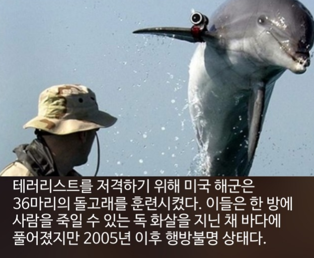 우리가 몰랐단 16가지 | 인스티즈