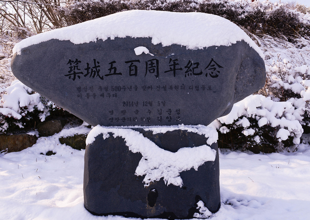숲쟁이 이미지