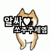 여고생의 비둘기 쫓는 방법 | 인스티즈