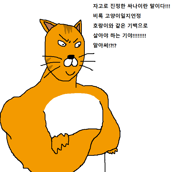 상남자 고양이의 아들 교육법 | 인스티즈
