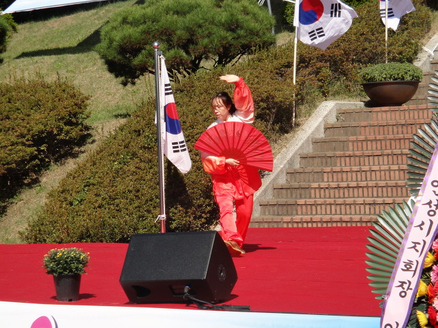 태극힐링 이미지