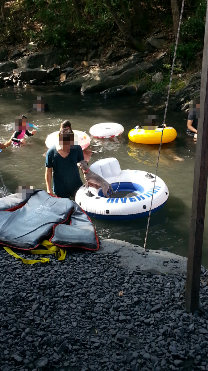 계곡 민폐다 vs 아니다.jpg | 인스티즈