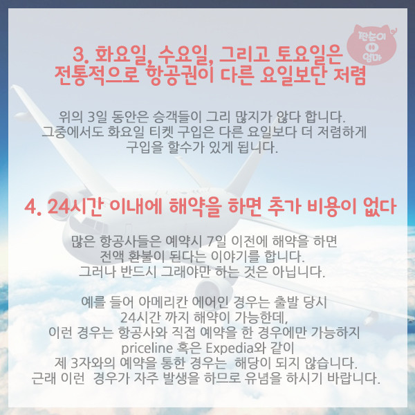 항공사가 숨기는 탑승객의 권리 10가지 | 인스티즈