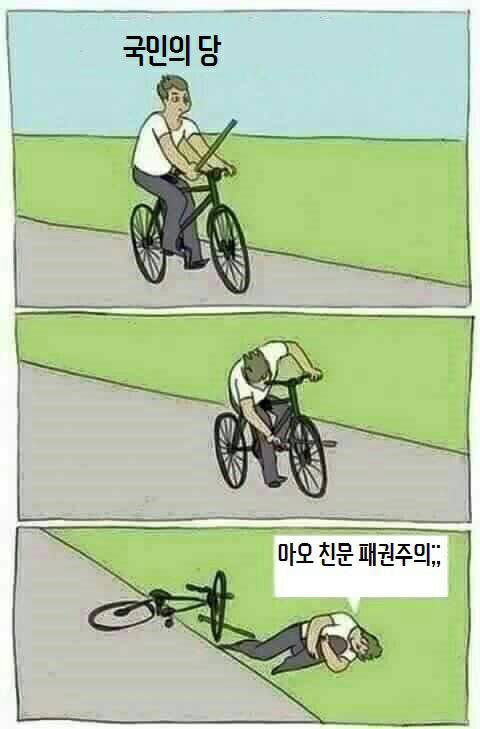 국민의당 요약.jpg | 인스티즈