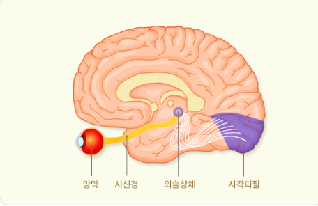 귀신은 볼 수 있는가에 대한 고찰 | 인스티즈