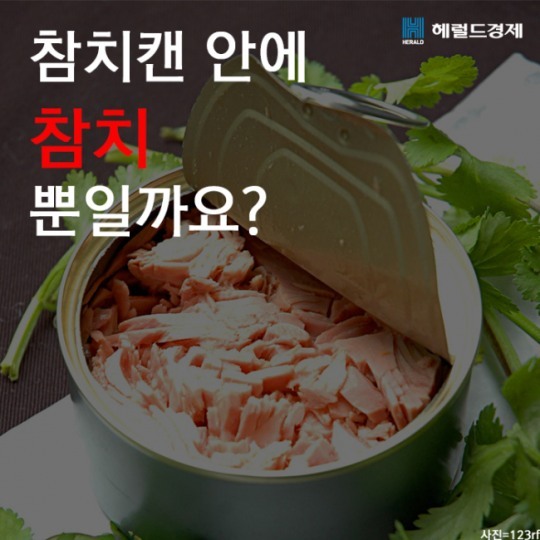 안참치 이미지