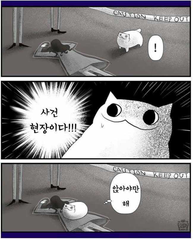 고양이 키우는 집사들은 공감한다는 일러스트들 | 인스티즈