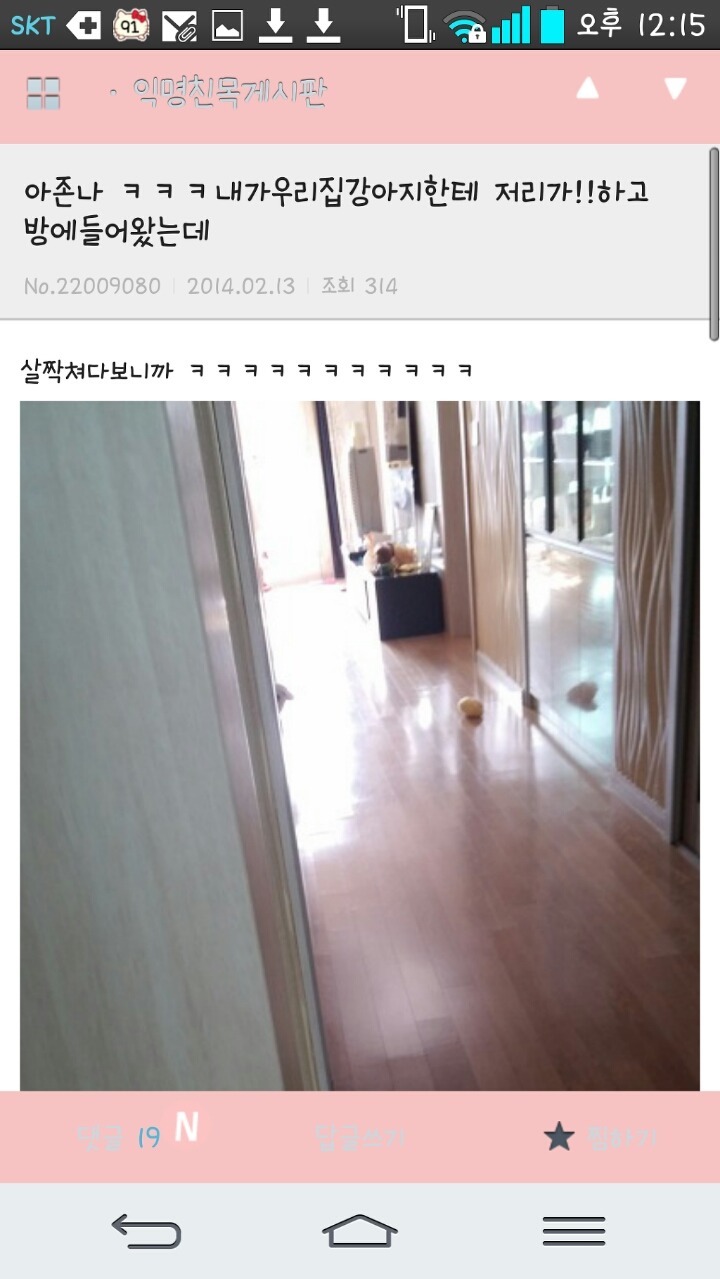 평화로운 익친이네 개들.jpg | 인스티즈