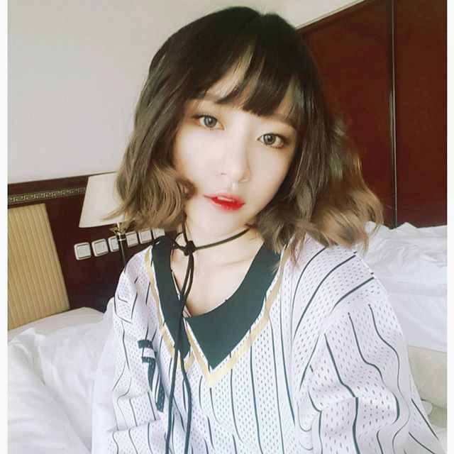 다쏘니 이미지
