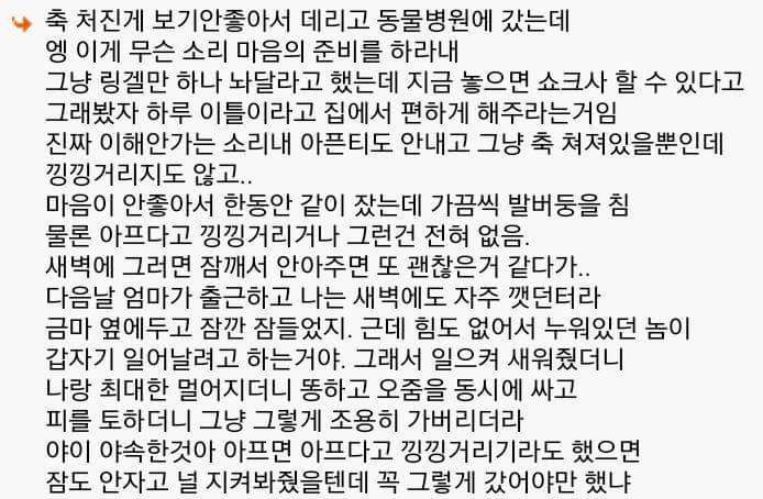 다시는 안키운다 | 인스티즈